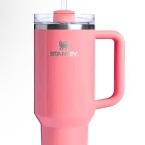 Elf Stanley cup coral 40 oz